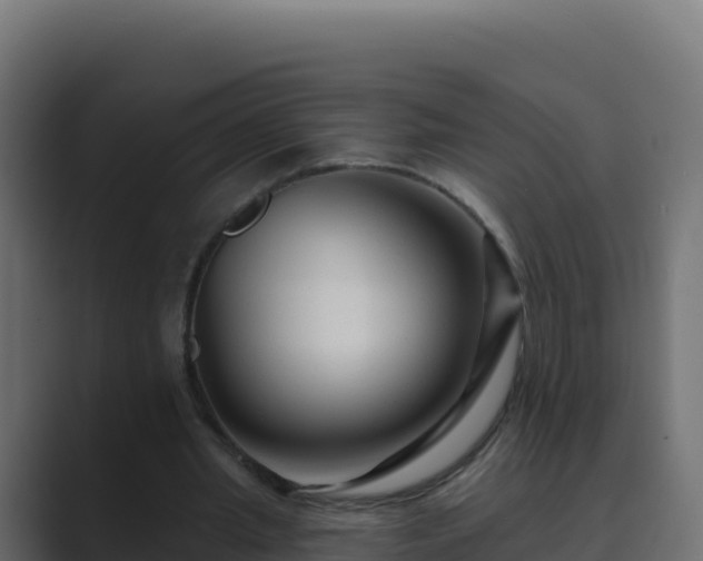 X0000089680437200706281400
