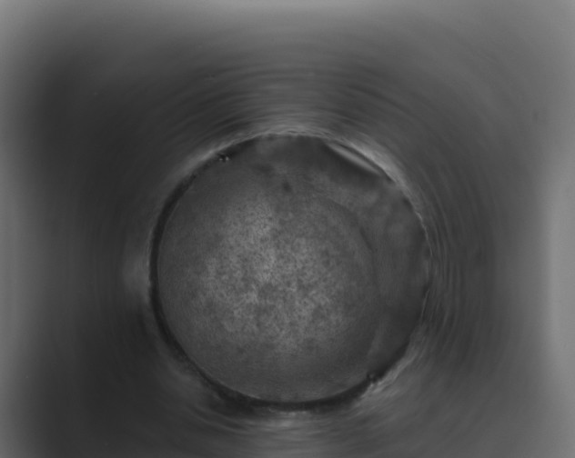 X0000089680438200706281400