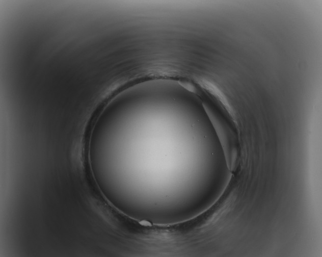 X0000089680439200706281400