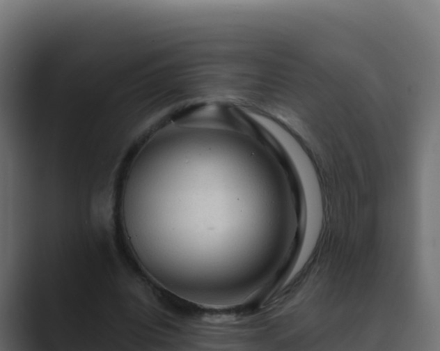X0000089680440200706281400