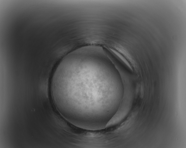 X0000089680442200706281400