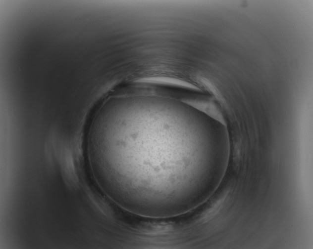 X0000089680443200706281400