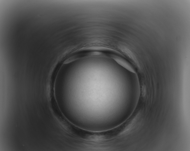 X0000089680444200706281400