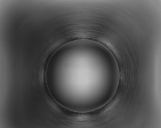 X0000089680445200706281400