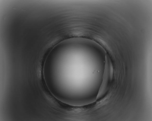 X0000089680446200706281400