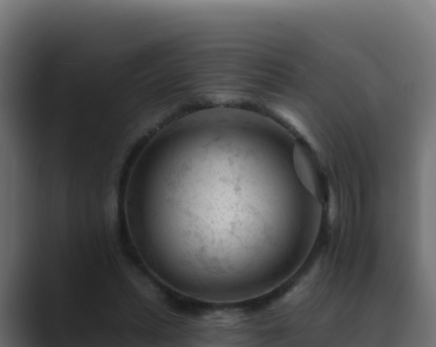 X0000089680447200706281400