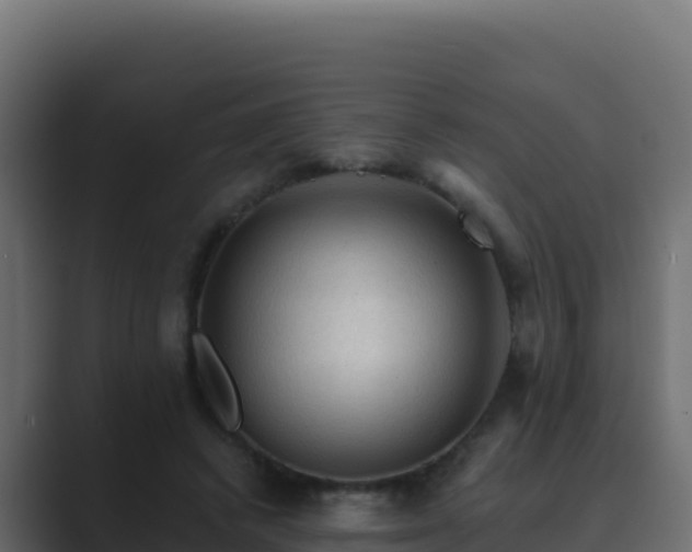 X0000089680448200706281400