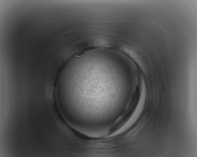 X0000089680449200706281400
