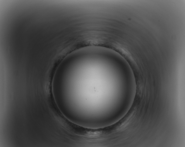 X0000089680450200706281400