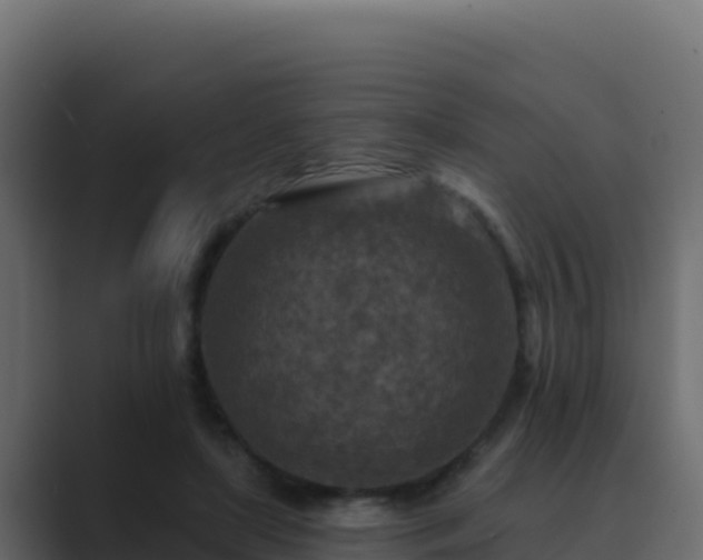 X0000089680451200706281400