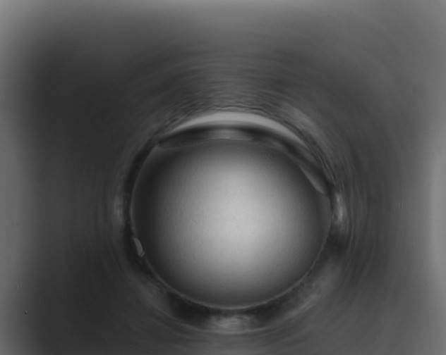 X0000089680452200706281400