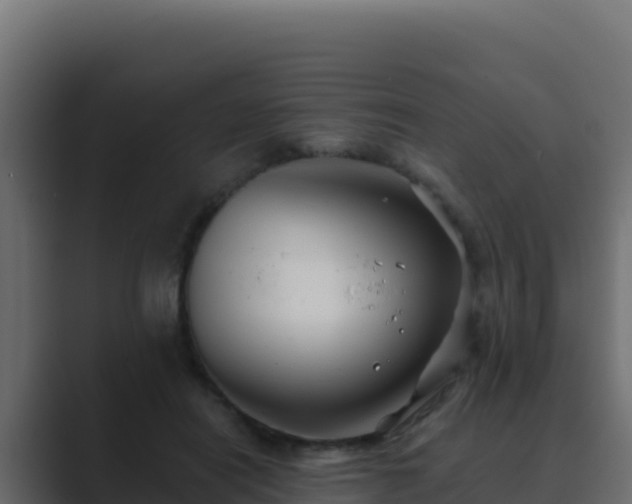 X0000089680454200706281401