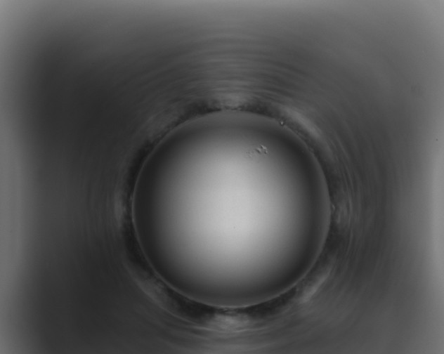 X0000089680455200706281401