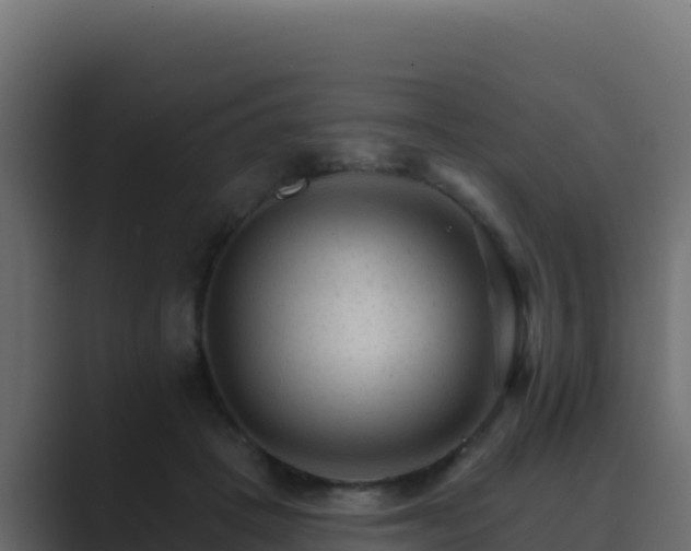 X0000089680457200706281401