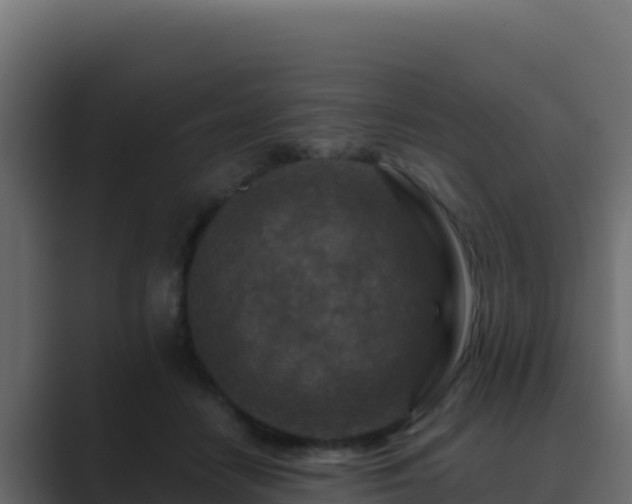 X0000089680458200706281401