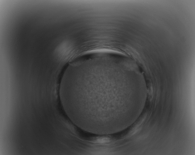 X0000089680462200706281401