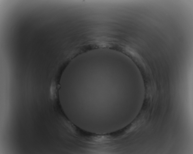 X0000089680465200706281401