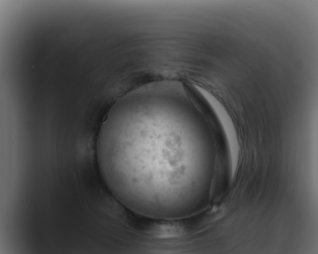X0000089680466200706281401