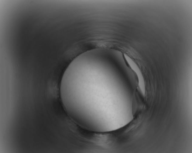 X0000089680469200706281401