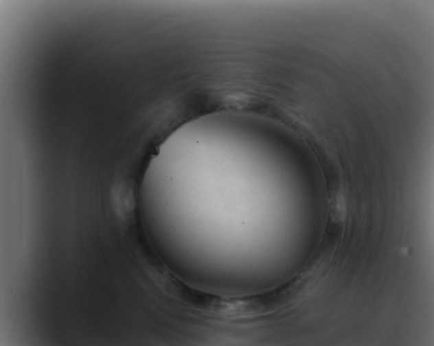 X0000089680472200706281401