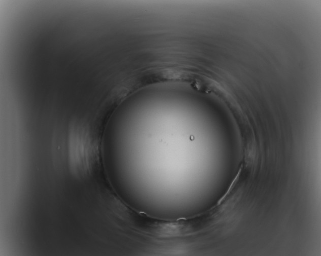 X0000089680473200706281401