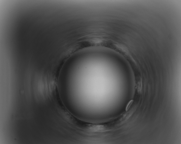 X0000089680476200706281401