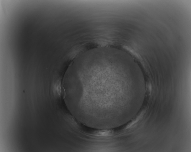 X0000089680479200706281401
