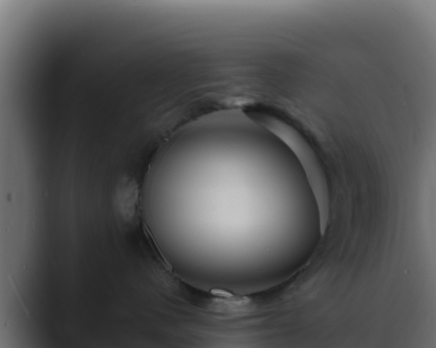 X0000089680480200706281401
