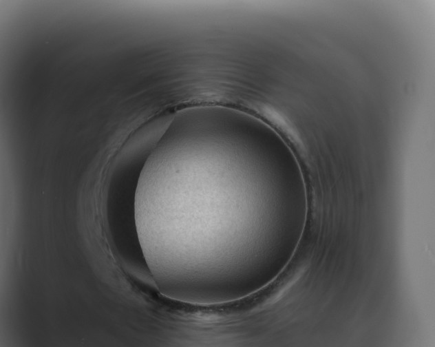 X0000089680481200706281400