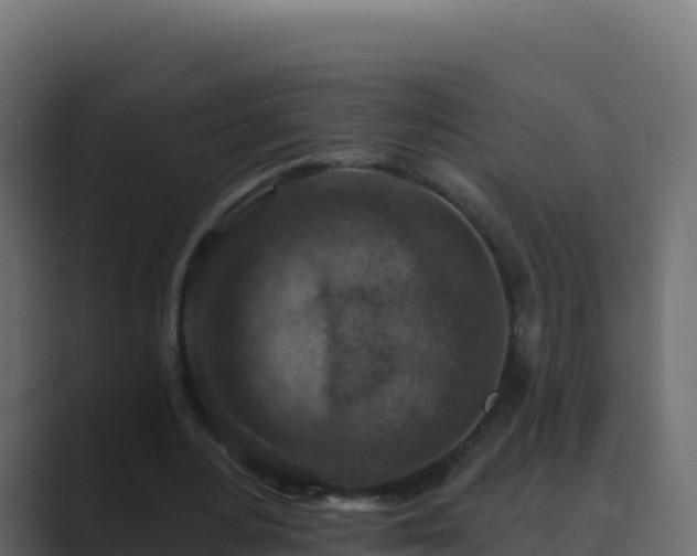 X0000089680484200706281400