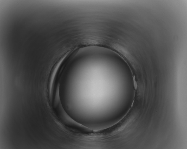 X0000089680489200706281400