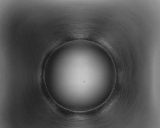X0000089680490200706281400