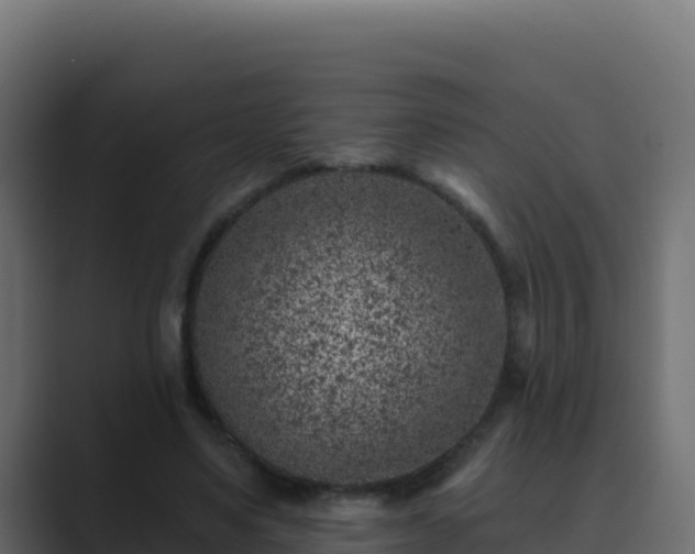 X0000089680491200706281400