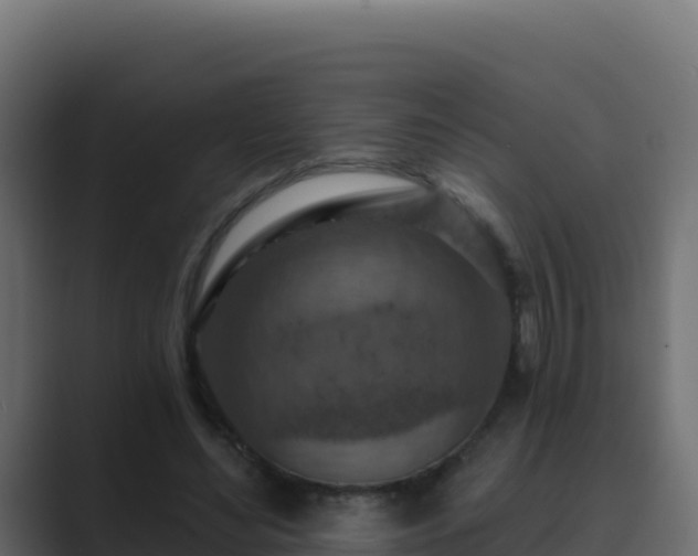 X0000089680492200706281400