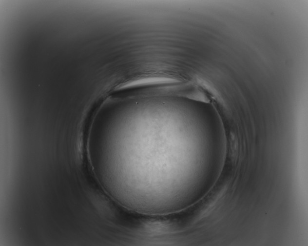 X0000089680494200706281400