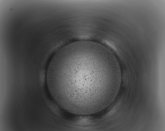 X0000089680495200706281400