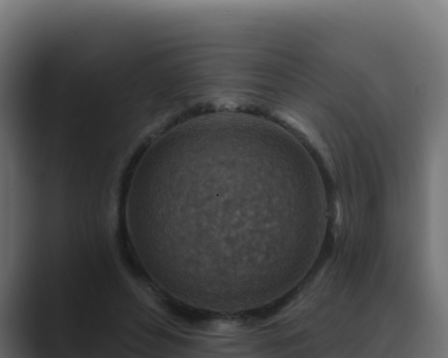 X0000089680496200706281400