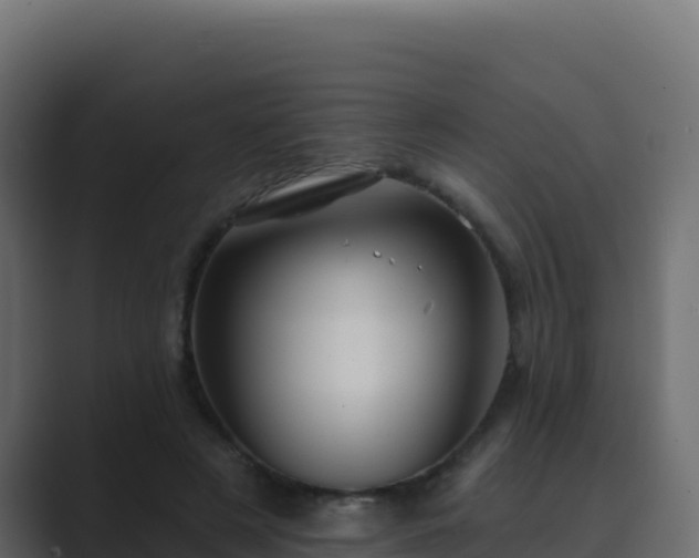 X0000089680497200706281400