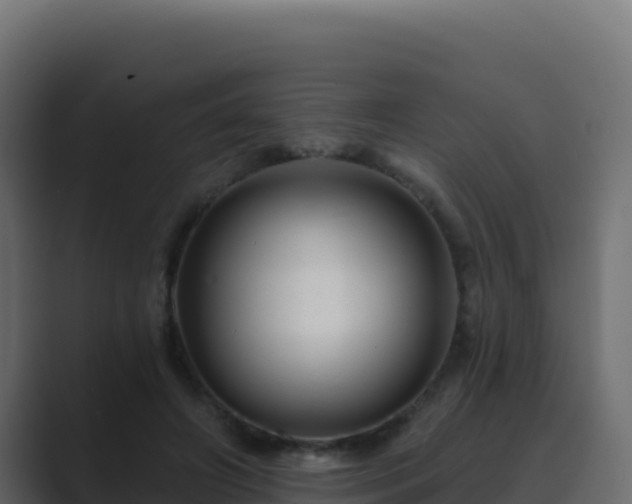 X0000089680498200706281400