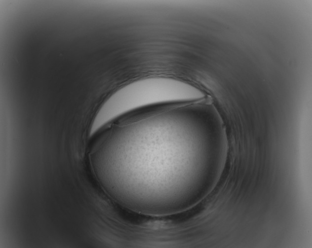 X0000089680499200706281400