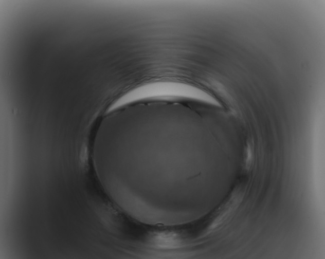 X0000089680500200706281400