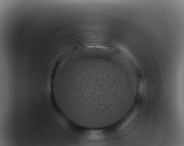 X0000089680501200706281400