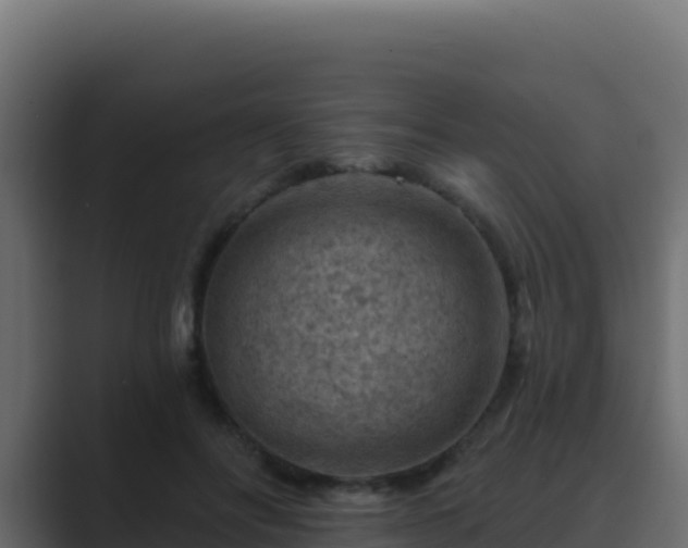 X0000089680502200706281400