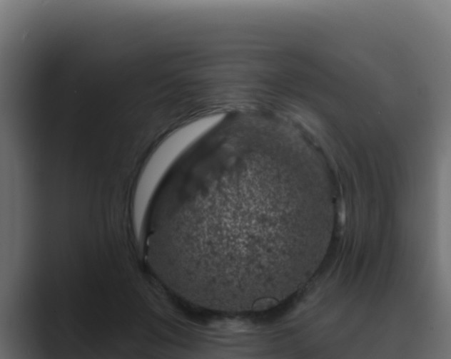 X0000089680503200706281400