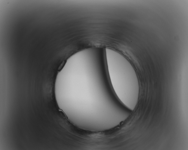 X0000089680505200706281400