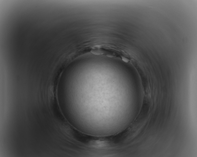 X0000089680506200706281400