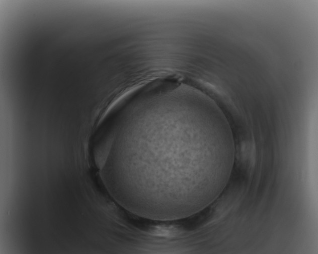 X0000089680508200706281400