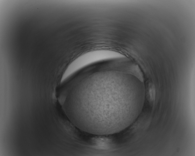 X0000089680512200706281400