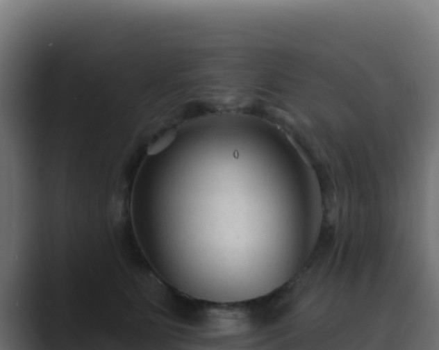 X0000089680515200706281400