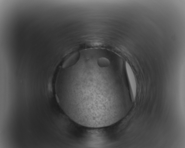 X0000089680516200706281400